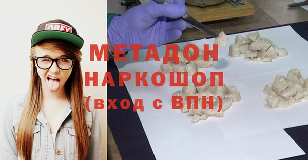индика Козловка