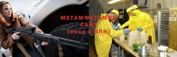 индика Козловка