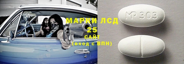 индика Козловка