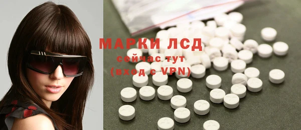 индика Козловка