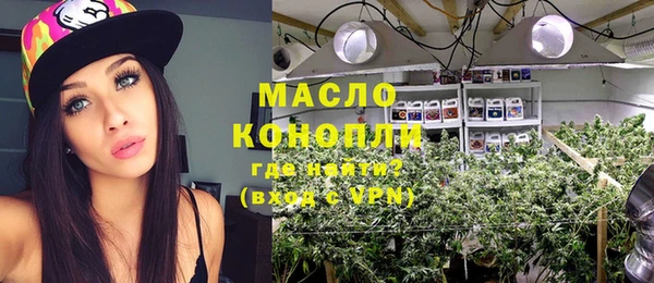 индика Козловка