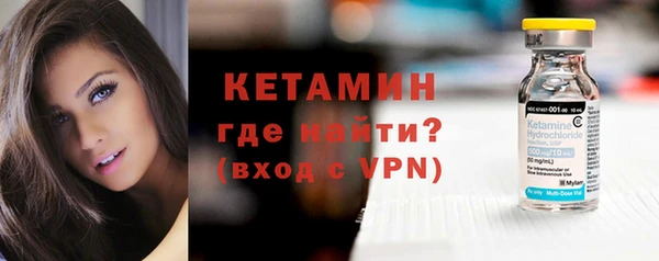 индика Козловка