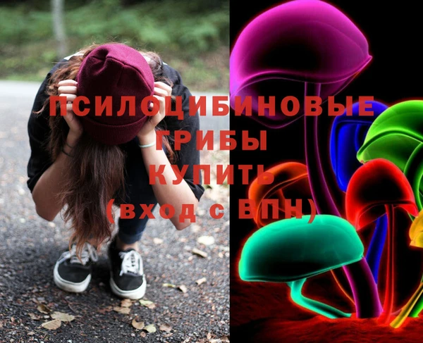 герыч Козельск