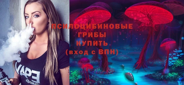 герыч Козельск