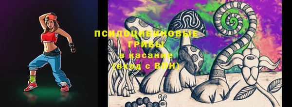индика Козловка